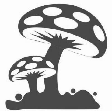 采蘑菇社区