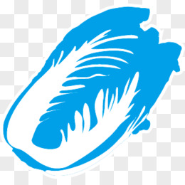 白菜过滤